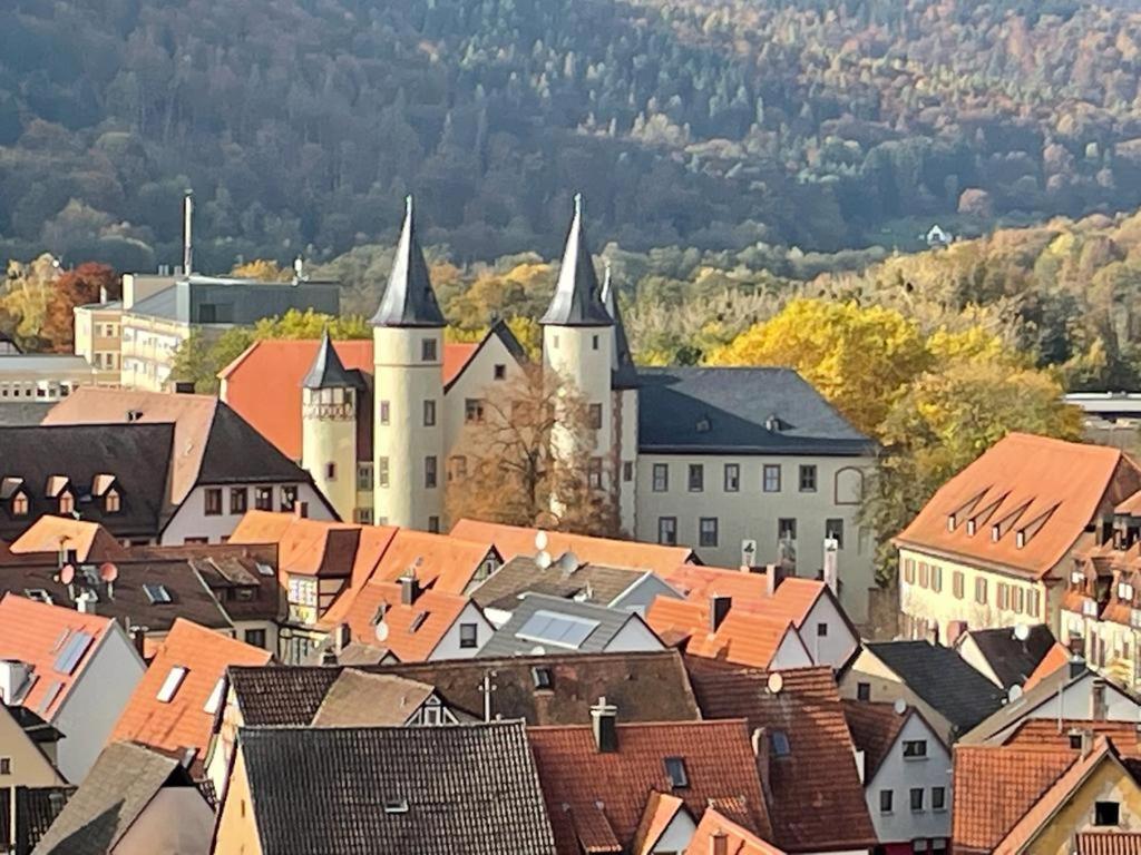 Wohnen Im Springerhof Appartement Lohr