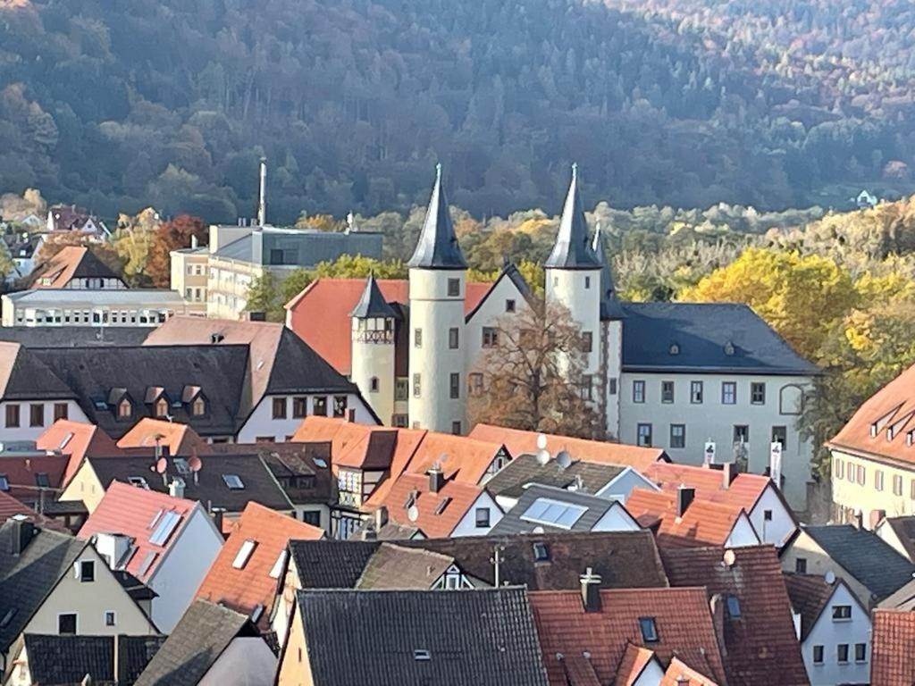 Wohnen Im Springerhof Lohr